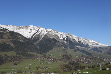 Naklejka premium pasajes varios 