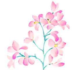 Beautiful elegant red watercolor flower