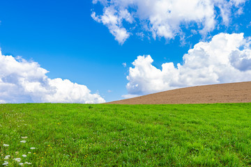 Eine schöne Landschaft mit Wiese, Himmel und Wolken als Hintergrund