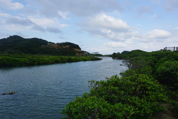 2019年9月　種子島　マングローブ林