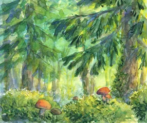 Fototapete Forest watercolour landscape with mushrooms © rosinka