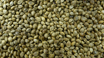 Many cannabis seeds lying on the ground, close up