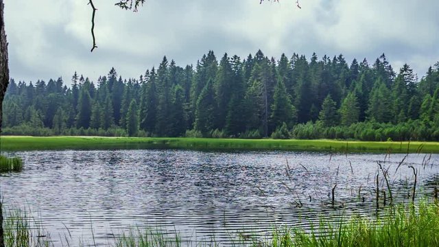 A picturesque of serene and calm black lake water amidst green dense forest on Pohorje hills in Slovenia. A static view.