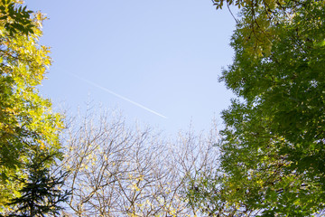 Yssentuki park