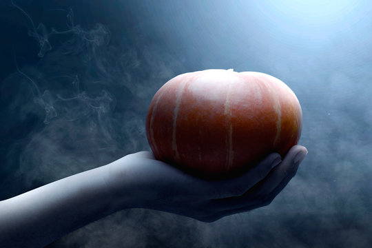 Hand holding pumpkin
