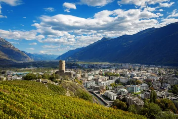 Fotobehang Terraced vineyards above Martigny in Valais Switzerland with medieval castle and Rhône valley. © Benoît Bruchez