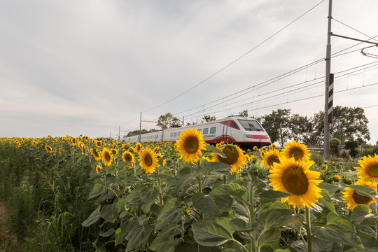 Treno Frecciabianca etr 480 di Trenitalia 
