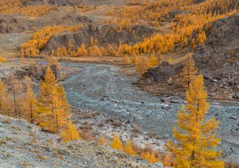 Winding river on a background of mountains and autumn trees