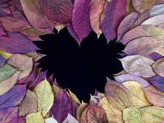 Background texture of leaves from the autumn forest. Autumn landscape from fallen leaves. Golden autumn, colorful leaves from trees, on a black background.