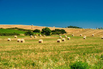 Obraz premium Rural landscape at summer near Bracciano, Rome