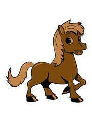 Pony Pferd spass Mädchen süss lieb springen spielen freuen frech lächeln 3c