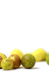 tainted lemon on a white background, fresh and green lemon