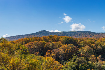 Fototapeta premium Towada Hachimantai National Park in early autumn