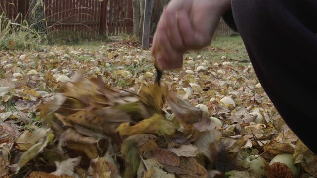 a hand with rake arranging autumn leaves in a pile, outdoor footage