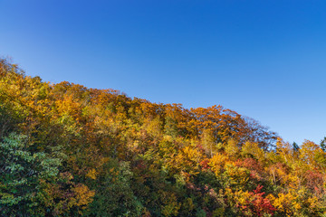 Fototapeta premium Towada Hachimantai National Park in early autumn