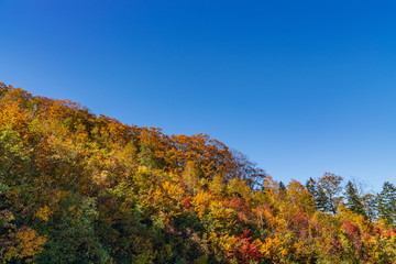 Towada Hachimantai National Park in early autumn