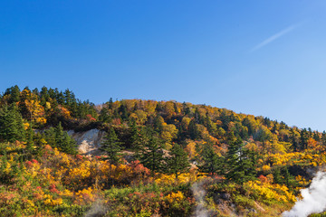 Obraz premium Towada Hachimantai National Park in early autumn