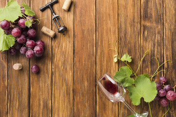 Vines and grapes for red wine