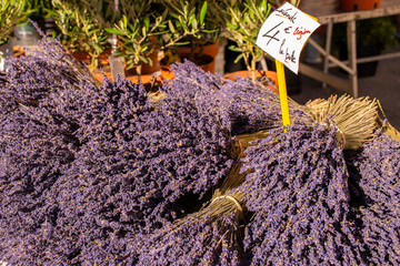 Lavender at Provence Market in APT