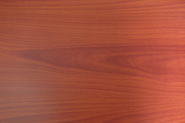 wood texture background