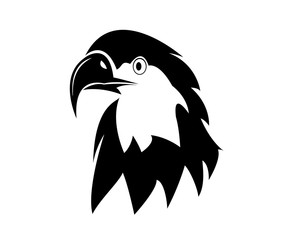 eagle head vector logo design