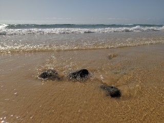 Tropical playa de fuerteventura las palmas de gran canaria, españa