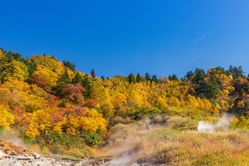 Fototapeta premium Towada Hachimantai National Park in early autumn