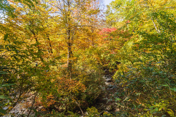 Towada Hachimantai National Park in early autumn