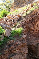 Autumn warm sunlight peace, trees, plant