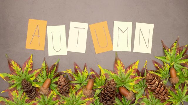 Stop motion animation of autumn title appear above the leaves, pine cones and apples