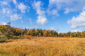 Towada Hachimantai National Park in early autumn