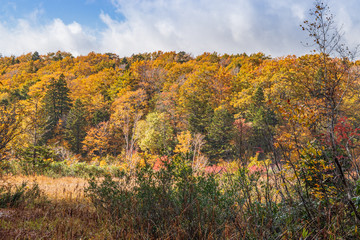 Fototapeta premium Towada Hachimantai National Park in early autumn
