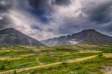 Mountain tundra with mosses and rocks covered with lichens, Hibiny mountains above the Arctic circle, Kola peninsula, Russia
