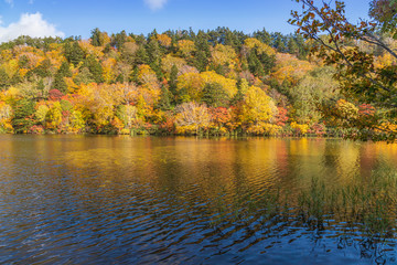 Towada Hachimantai National Park in early autumn