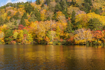 Towada Hachimantai National Park in early autumn