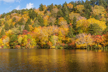 Towada Hachimantai National Park in early autumn