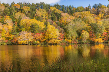 Towada Hachimantai National Park in early autumn