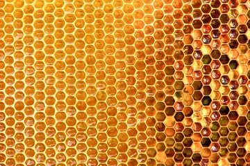 Wall murals Bee Background texture and pattern of a section of wax honeycomb from a bee hive filled with golden honey i