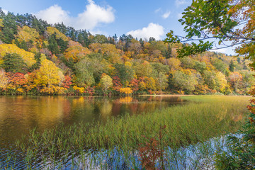 Towada Hachimantai National Park in early autumn