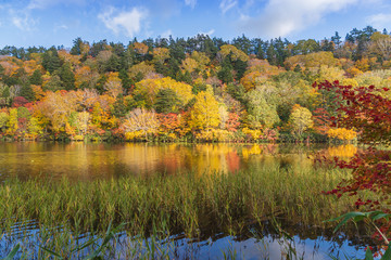 Towada Hachimantai National Park in early autumn