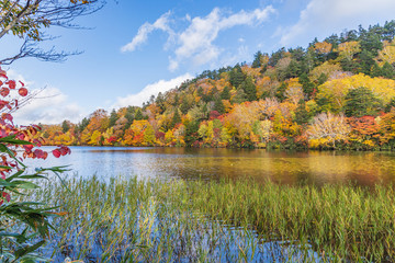 Towada Hachimantai National Park in early autumn