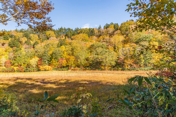 Towada Hachimantai National Park in early autumn