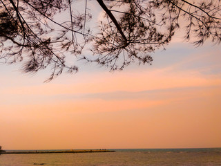 Beach and shady tree branches, sunset in the afternoon