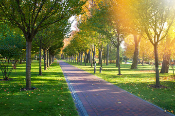 Sunny day at autumn park with colorful trees. Autumn in park, landscape