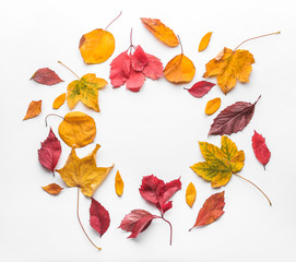 Frame made of autumn leaves on white background