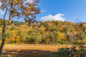 Towada Hachimantai National Park in early autumn