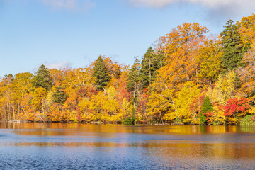 Obraz premium Towada Hachimantai National Park in early autumn