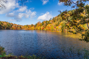 Fototapeta premium Towada Hachimantai National Park in early autumn