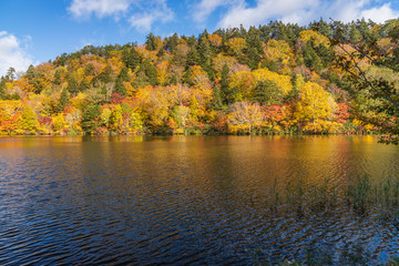 Towada Hachimantai National Park in early autumn