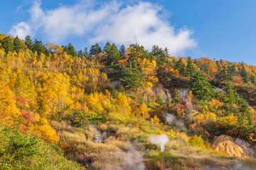 Obraz premium Towada Hachimantai National Park in early autumn